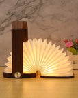 Wooden Hand Lamp