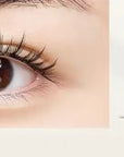 Soft Magnetic Suction And Dense C Curling Eyelashes