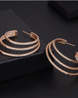 High-end earrings ( 3 to 7 Days shipping)