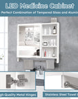 Modern 32x28 Inch Bathroom Cabinet With Mirror And LED Lights ( USA ONLY  + 3 TO 5 DAYS SHIPPING)