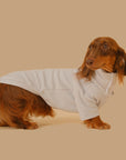 Pet Base Coat Dachshund Dog Clothing ( 3 TO 7 DAYS SHIPPING)