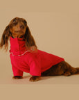 Pet Base Coat Dachshund Dog Clothing ( 3 TO 7 DAYS SHIPPING)