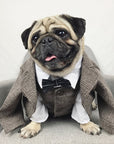 Pet wedding suit