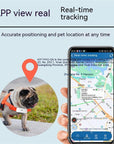 4G Pet Locator GPS BeiDou Dogs And Cats Sheep Anti-lost Waterproof Collar Remote Positioning Tracker