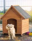 Black Asphalt Roof Dog House ( USA ONLY +  3 TO 7 DAYS SHIPPING)