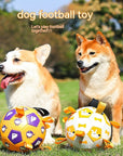 Dog Interactive Football Toys Children Soccer Dog Outdoor Training Balls Pet Sporty Bite Chew Teething Ball With Cute Printing