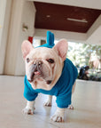 Pet Apparel Fleece Solid Color Hoodie