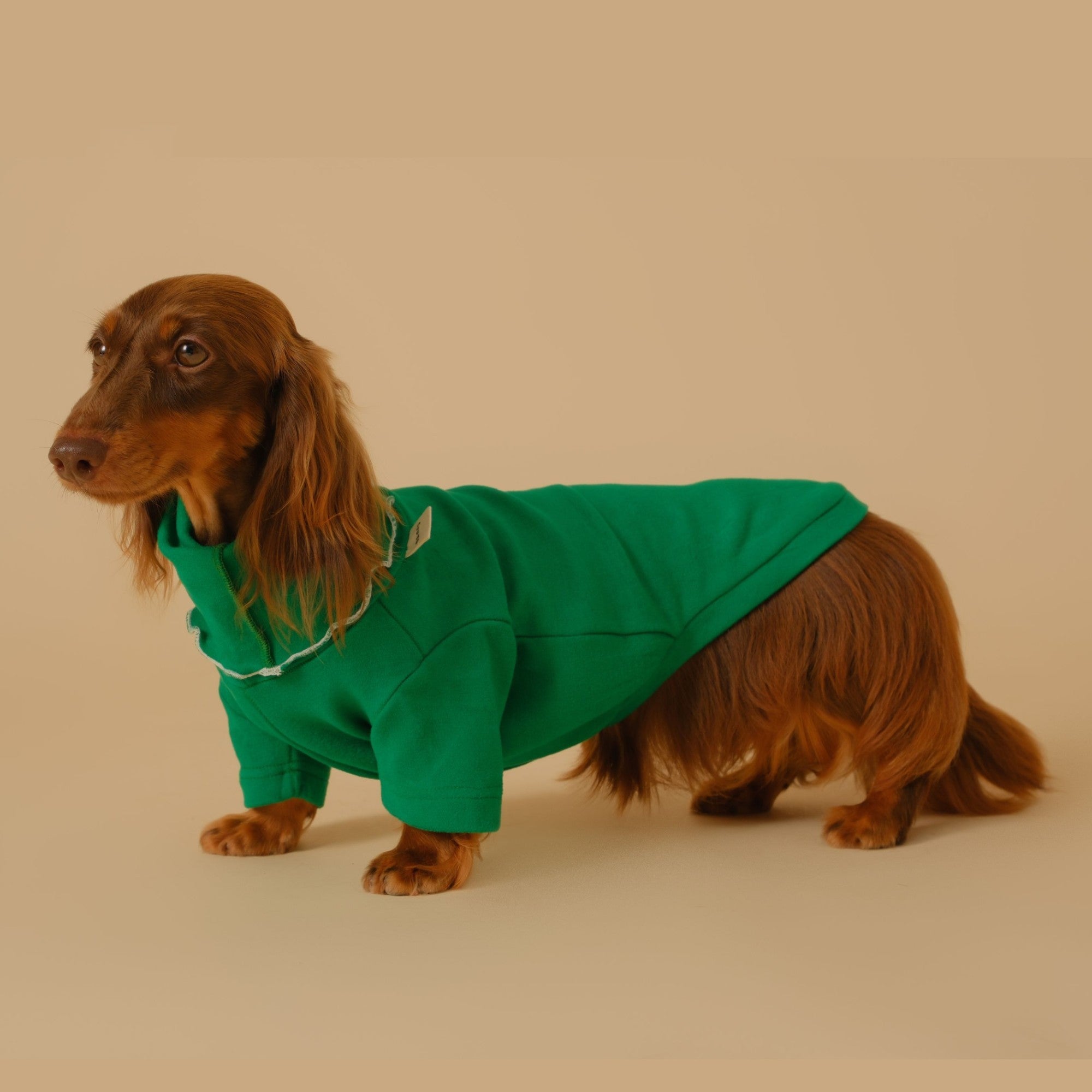 Pet Base Coat Dachshund Dog Clothing ( 3 TO 7 DAYS SHIPPING)