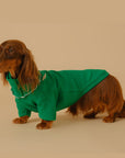 Pet Base Coat Dachshund Dog Clothing ( 3 TO 7 DAYS SHIPPING)