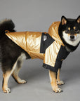 Dog Large Dog Raincoat Pet Jacket