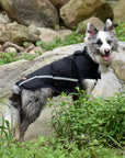 Pet Raincoat Water Repellent For Dogs