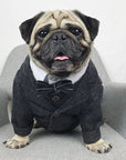 Pet wedding suit