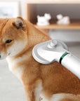 Pet Comb Hair Dryer