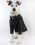 Pet wedding suit