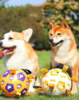 Dog Interactive Football Toys Children Soccer Dog Outdoor Training Balls Pet Sporty Bite Chew Teething Ball With Cute Printing