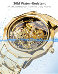 Luminous Men's Automatic Mechanical Watch