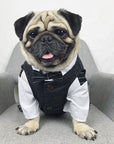 Pet wedding suit