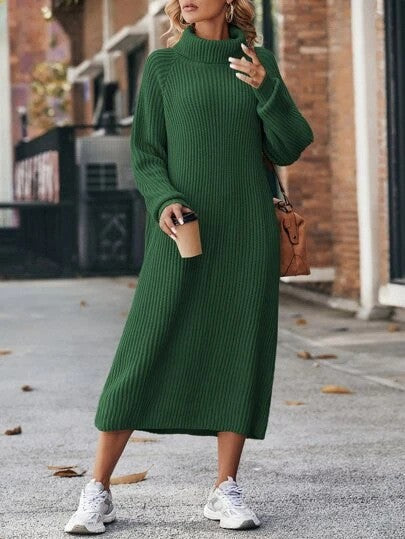 Long Below The Knee Loose High Collar Knitted Dress AliFinds