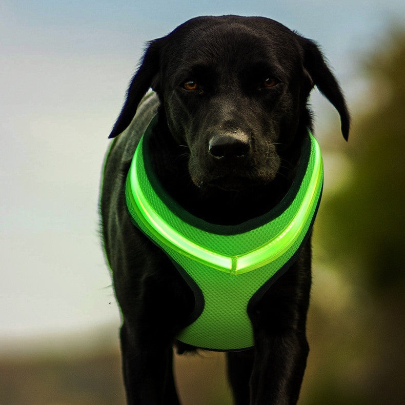 Pet Supplies LED Luminous Dog Chest Strap Rechargeable Mesh Luminous Harness Pet Products AliFinds