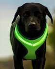 Pet Supplies LED Luminous Dog Chest Strap Rechargeable Mesh Luminous Harness Pet Products AliFinds