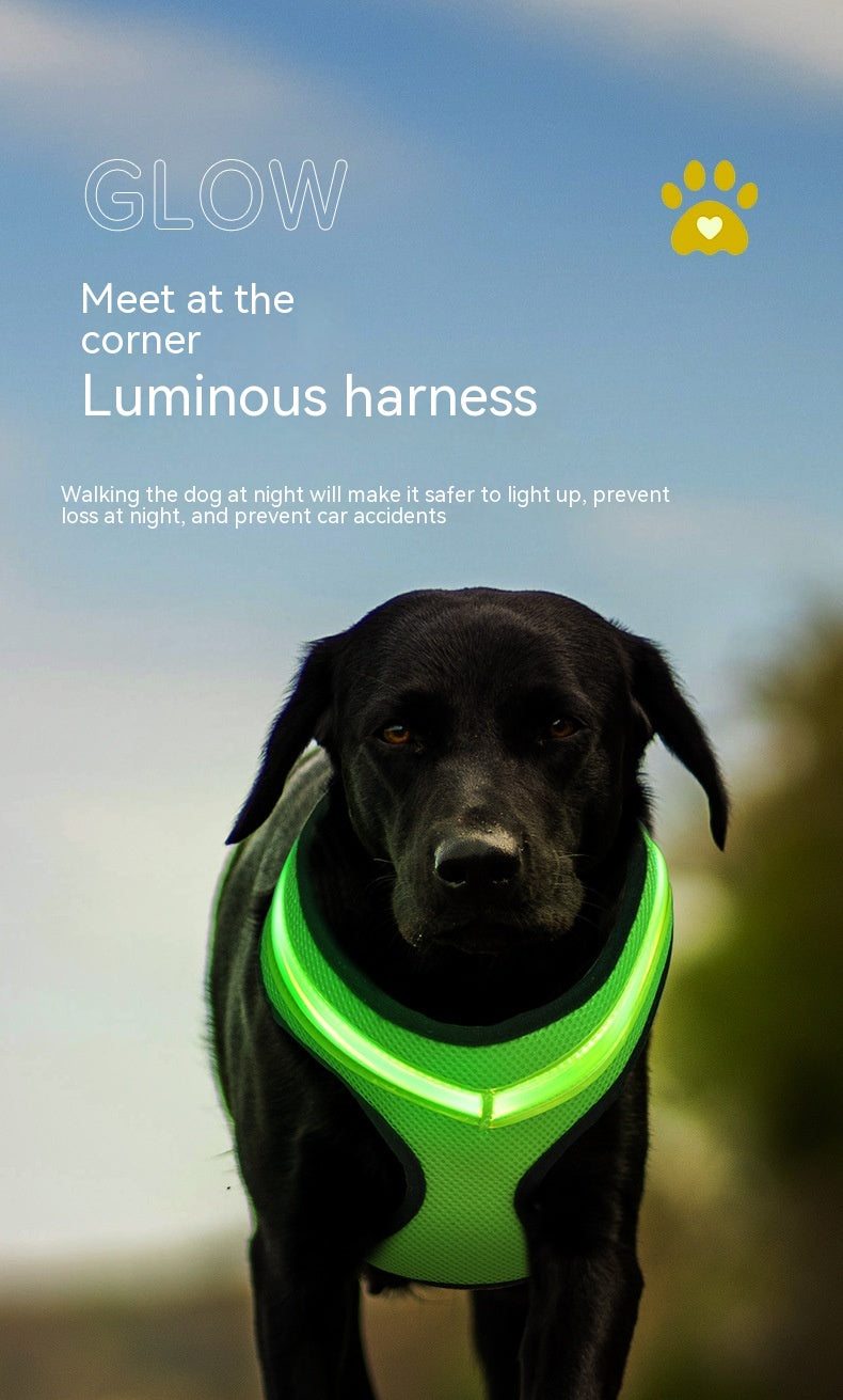 Pet Supplies LED Luminous Dog Chest Strap Rechargeable Mesh Luminous Harness Pet Products AliFinds