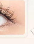 Soft Magnetic Suction And Dense C Curling Eyelashes