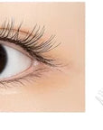 Soft Magnetic Suction And Dense C Curling Eyelashes