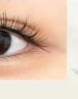 Soft Magnetic Suction And Dense C Curling Eyelashes