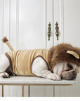 Dog Lion Clothes Pet Supplies Halloween Cat Clothes