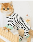 Clothes Ins Puppet Cat British Short Cat Cat Anti-hair Shed Four-legged Clothing Hairless