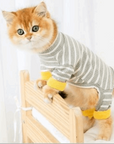 Clothes Ins Puppet Cat British Short Cat Cat Anti-hair Shed Four-legged Clothing Hairless