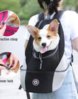 Pet Dog Carrier Carrier For Dogs Backpack Out Double Shoulder Portable Travel Outdoor Carrier Bag Mesh