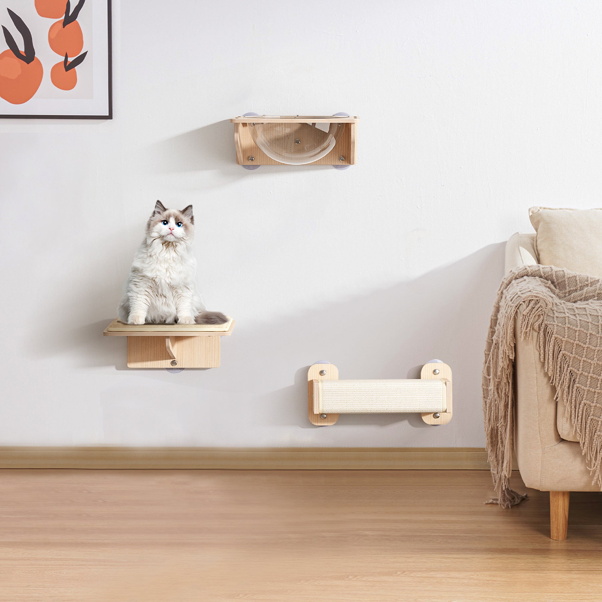 3 Pieces Of Cat Wall Furniture With Capsule Bed ( USA ONLY + 3 TO 5 DAYS SHIPPING)