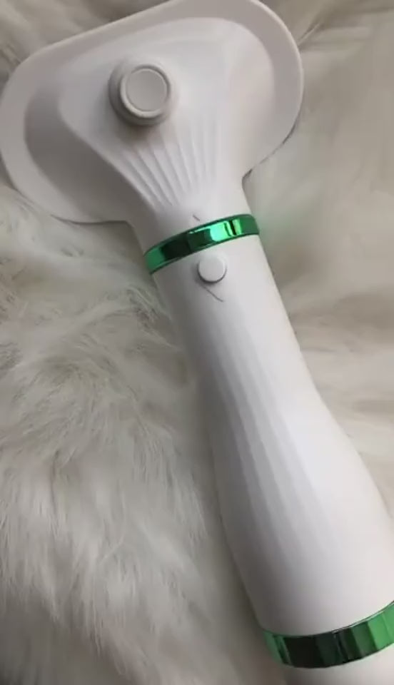 Pet Comb Hair Dryer